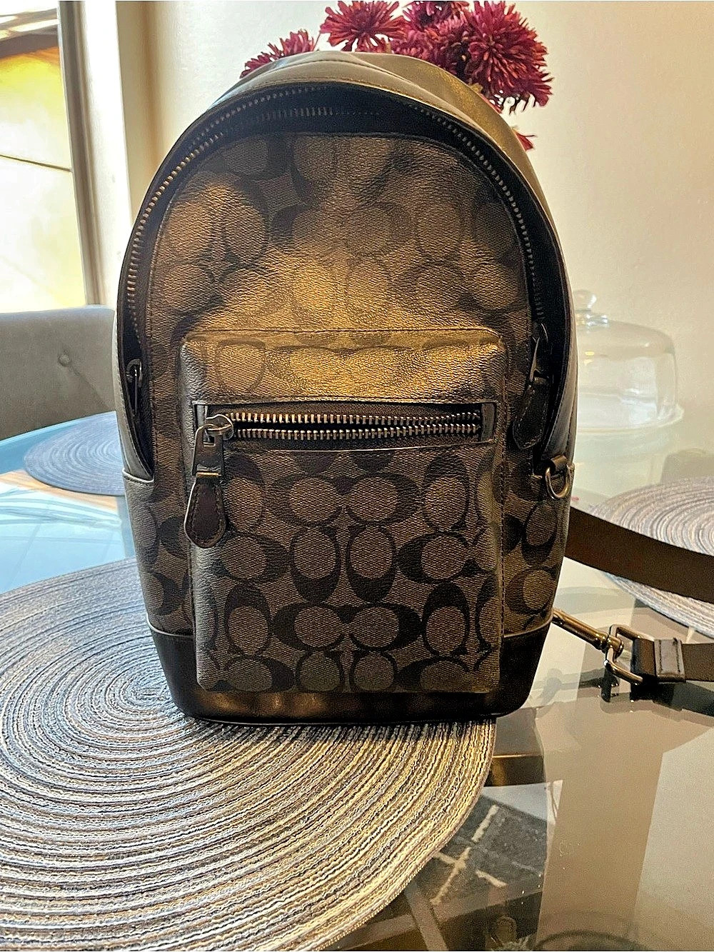 Coach Large Zoe Backpack Black & Brown